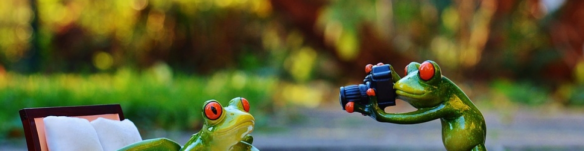 Facial recognition is an easy task for animals